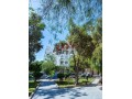 louez-cet-appartement-a-racine-2-pieces-meuble-small-1