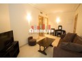 louez-cet-appartement-a-racine-2-pieces-meuble-small-8