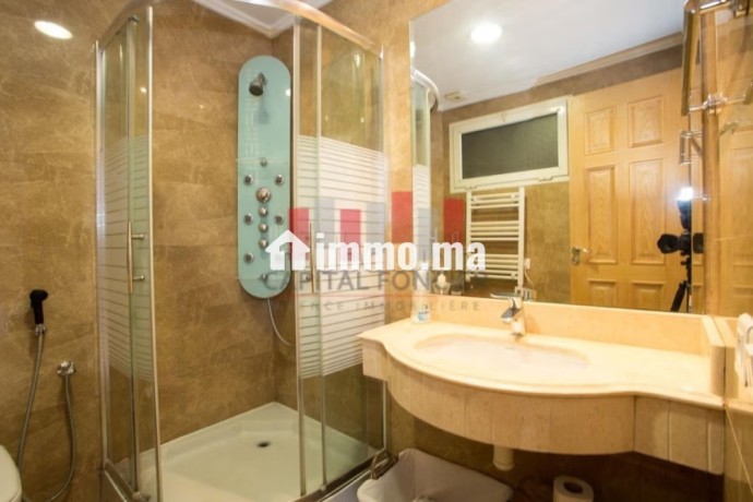 louez-cet-appartement-a-racine-2-pieces-meuble-big-16