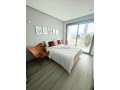 superbe-cocon-meuble-au-calme-sans-vis-a-vis-small-10