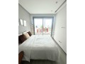 superbe-cocon-meuble-au-calme-sans-vis-a-vis-small-12