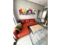 superbe-cocon-meuble-au-calme-sans-vis-a-vis-small-5