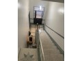 maison-plus-commerce-titre-small-16
