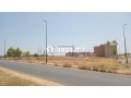 lot-riyad-toulal-small-5