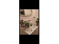 appart-de-lux-enface-de-la-mer-imi-ouaddar-small-5