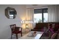 coquet-appartement-meuble-pour-un-sejour-agreable-small-2