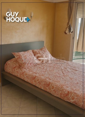 appartement-3-chambres-quartier-hopitaux-big-1