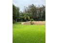 superbe-villa-de-3000-m2-a-vendre-a-californie-small-2