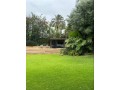 superbe-villa-de-3000-m2-a-vendre-a-californie-small-3