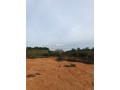 vente-de-terrain-a-asilah-small-9
