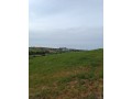 vente-de-terrain-a-asilah-small-10