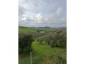 vente-de-terrain-a-asilah-small-12