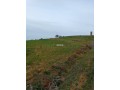 vente-de-terrain-a-asilah-small-14