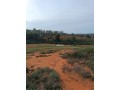 vente-de-terrain-a-asilah-small-1