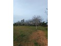 vente-de-terrain-a-asilah-small-19