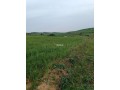 vente-de-terrain-a-asilah-small-2