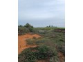 vente-de-terrain-a-asilah-small-4