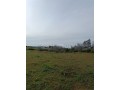 vente-de-terrain-a-asilah-small-7
