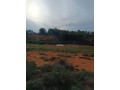 vente-de-terrain-a-asilah-small-8