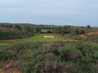 vente-de-terrain-a-asilah