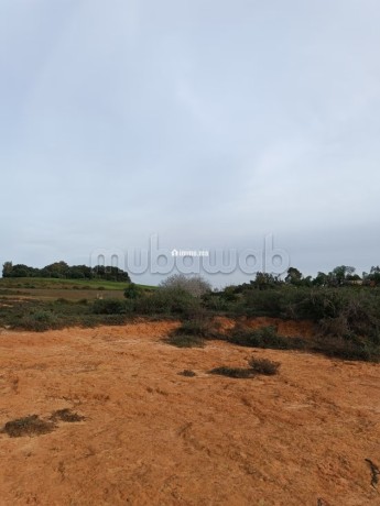 vente-de-terrain-a-asilah-big-9
