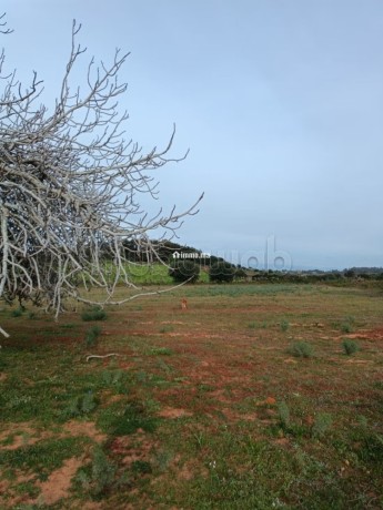 vente-de-terrain-a-asilah-big-11