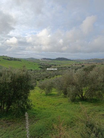vente-de-terrain-a-asilah-big-12