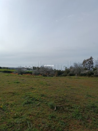 vente-de-terrain-a-asilah-big-18