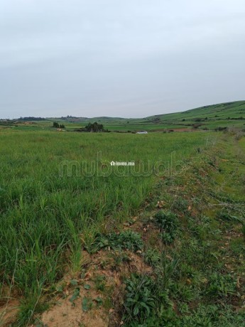 vente-de-terrain-a-asilah-big-2