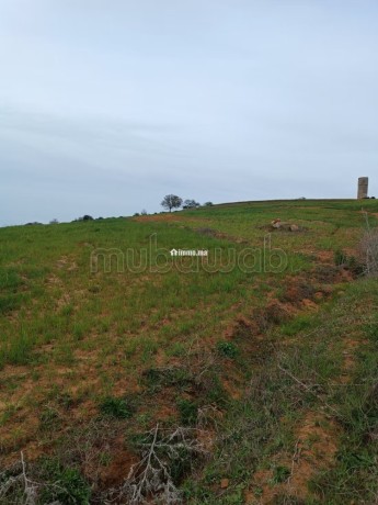 vente-de-terrain-a-asilah-big-3