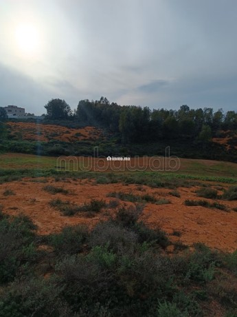 vente-de-terrain-a-asilah-big-8