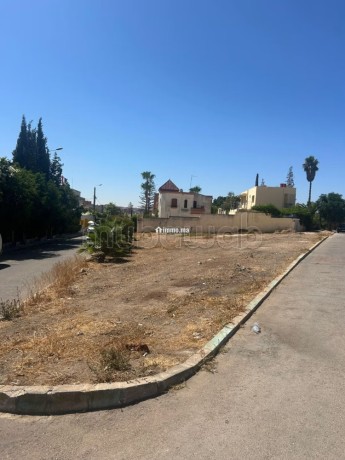 terrain-a-vendre-a-alouane-surface-de-470-m2-big-6