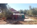 ferme-titre-2200m2-kamouni-small-1