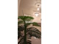 appart-neuf-meuble-10min-de-la-plage-small-1