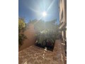 red-de-jardin-en-location-a-jbel-kbir-2-belles-chambres-bien-meuble-small-14