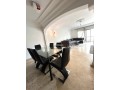 appartement-spacieux-gauthier-small-4
