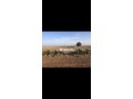 terrain-de-2ha-a-vendre-small-0