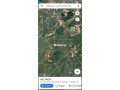 terrain-de-2ha-a-vendre-small-4