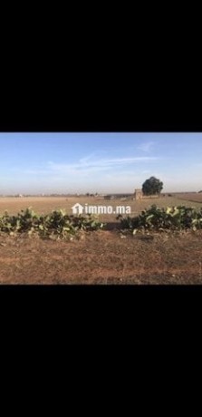 terrain-de-2ha-a-vendre-big-0