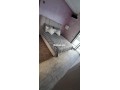 brtm-nky-llaaayl-llkraaa-allyl-alktby-small-4