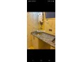 bdon-smsar-appartement-vacances-small-4