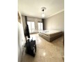 appartement-spacieux-gauthier-small-6