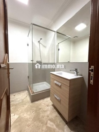 appartement-spacieux-gauthier-big-11