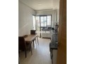 joli-appartement-a-louer-meuble-belvedere-small-2