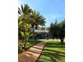 appartements-meublees-a-la-marina-small-7