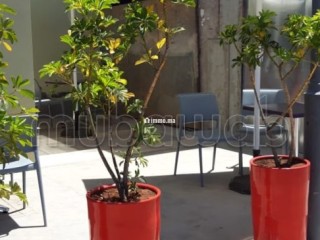 Magasin à Oued Cherrat - Villa à vendre - Bouznika