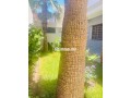 villa-a-ain-sebaa-small-6