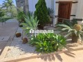 tres-jolie-villa-independante-et-spacieuse-a-louer-small-2
