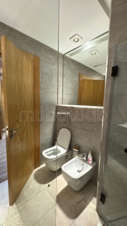 tres-bel-appartement-meuble-pour-location-big-11