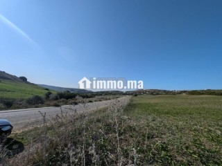 3-hectares-agricoles-titres-aux-environs-dasilah